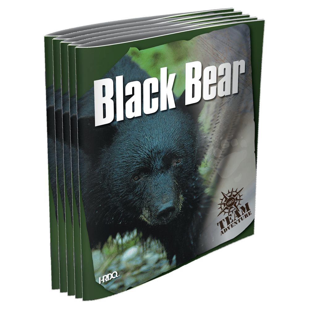 Black Bear | HRDQ