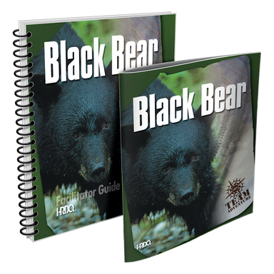 Black Bear | HRDQ