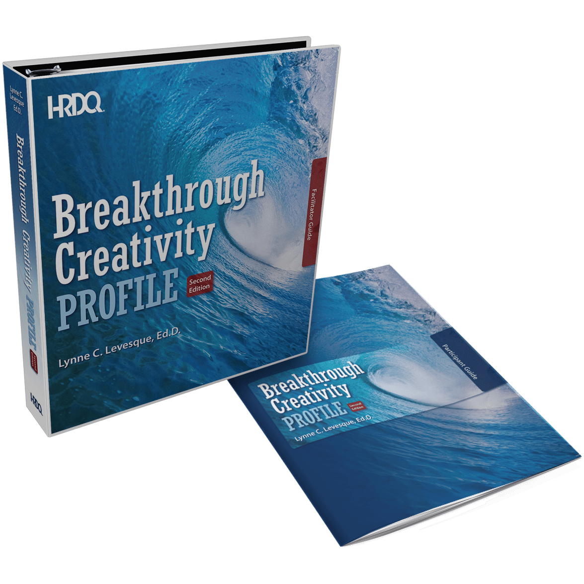 Breakthrough Creativity Profile | HRDQ