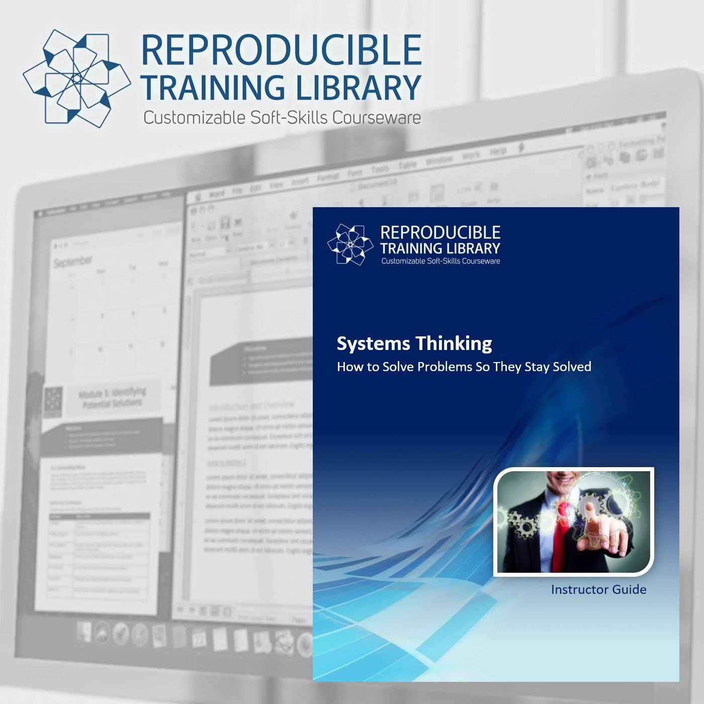 Systems Thinking (RTL) | HRDQ