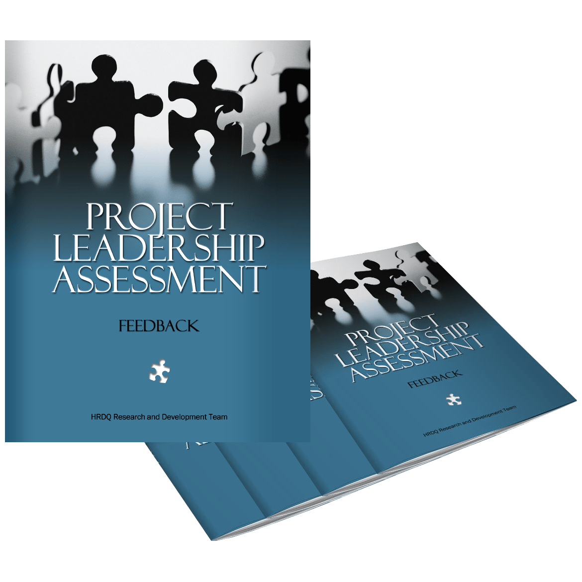 Project Leadership Assessment | HRDQ