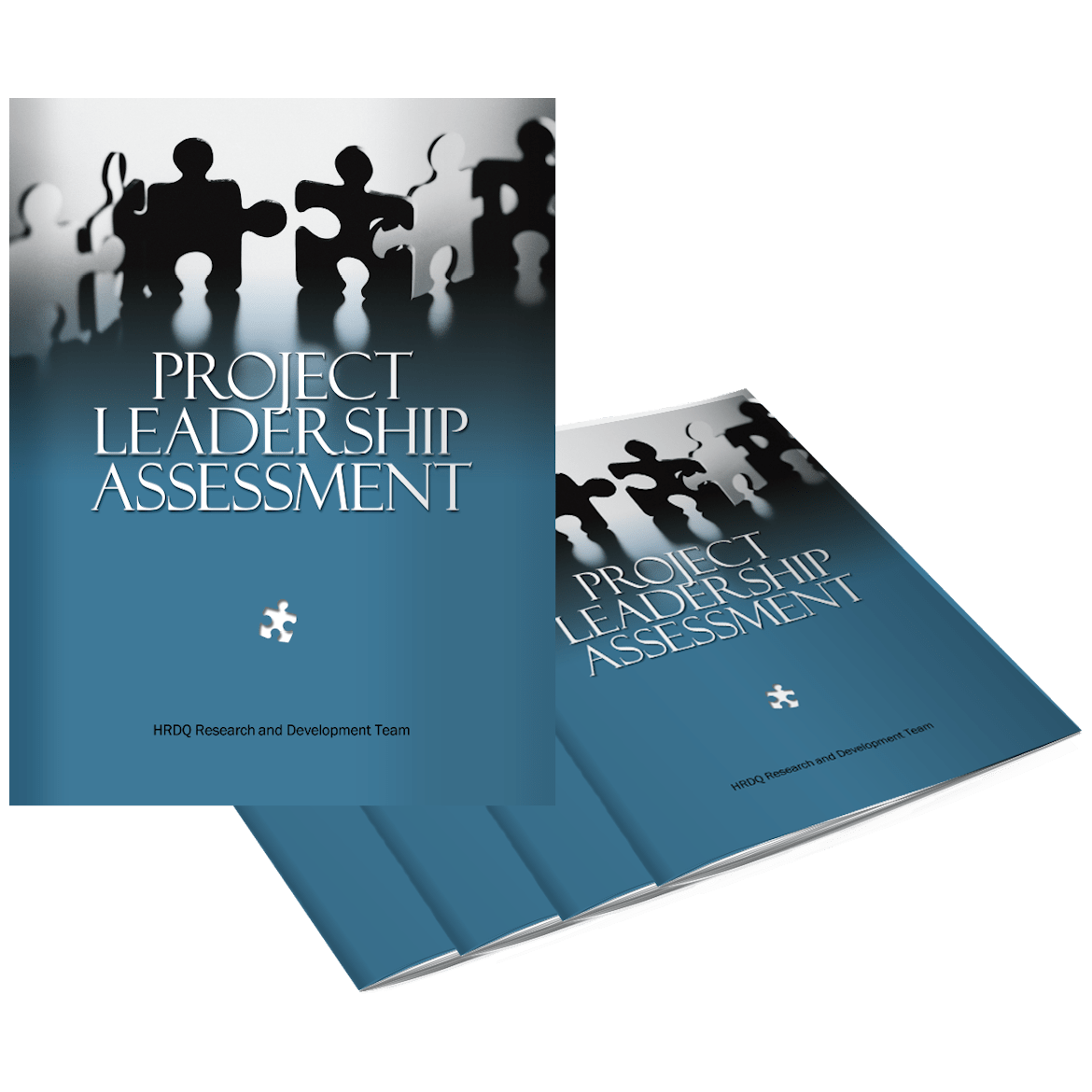 Project Leadership Assessment | HRDQ