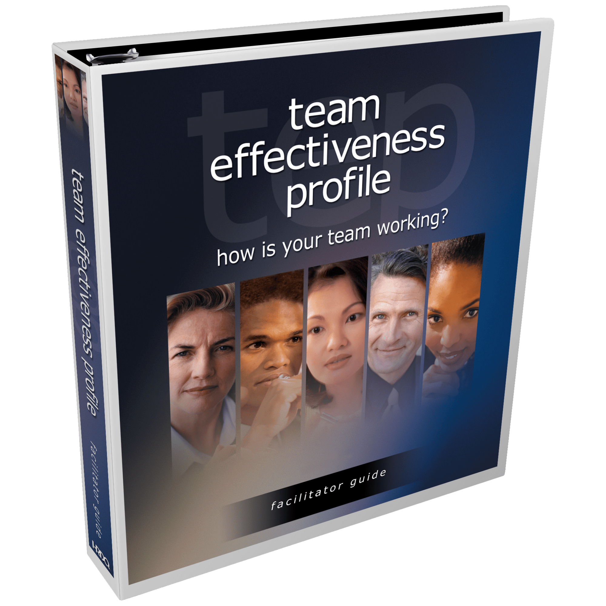 Team Effectiveness Profile | HRDQ