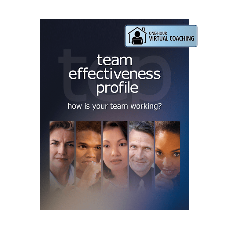 Team Effectiveness Profile | HRDQ